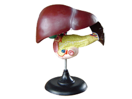 SD-093 33216����ʮ��֬�c�����Kģ��